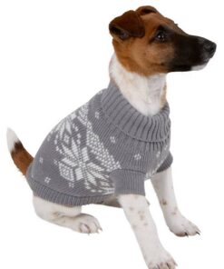 10577-Additional-image-81404-e66f