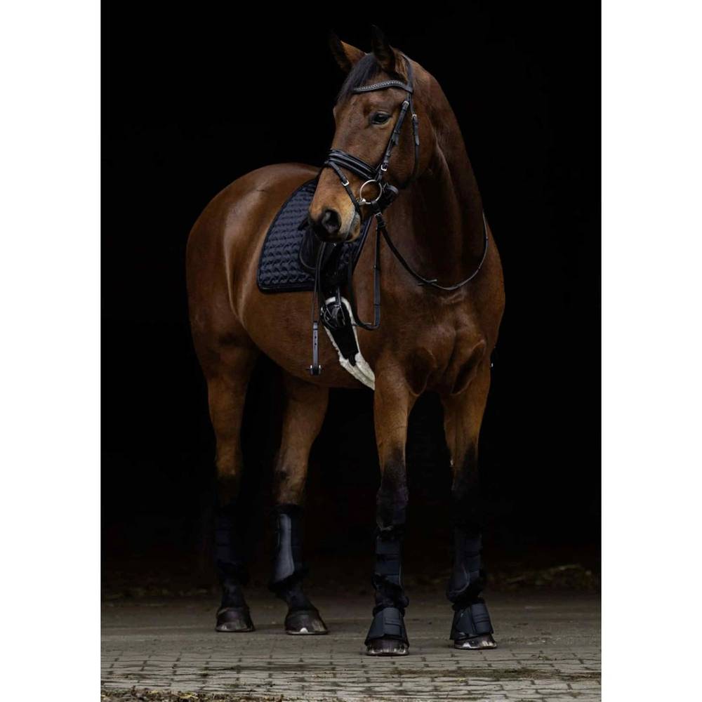 10a7e8e3-df89-4ded-9f89-aa604f9da270