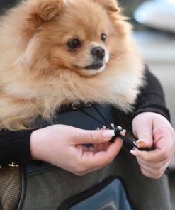 181474-mood-80566-24-aafb