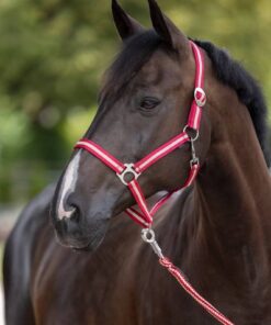 214280-Anwendungsbild-328260-628b