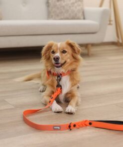 218585-Anwendungsbild-80100-c05f