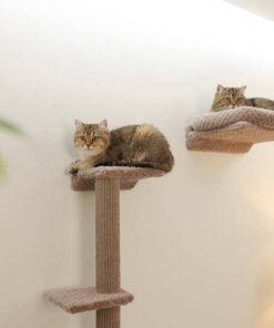 219459-Anwendungsbild-80919-5bf6