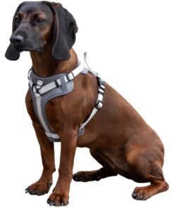 235567-Zusatzbild-85756-6567