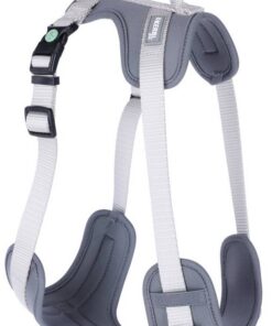 236018-Hauptbild-85756-899b