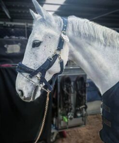 273843412-243358131324699-913435701574332034-n-2