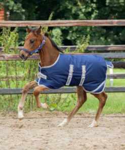 520-foal-turnout-600x600