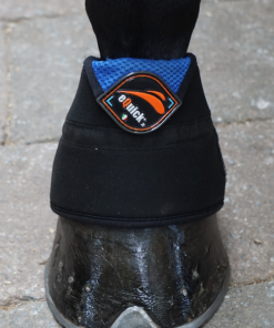 5d22d8-695710a515964f69a72eb8e299314dd7mv2