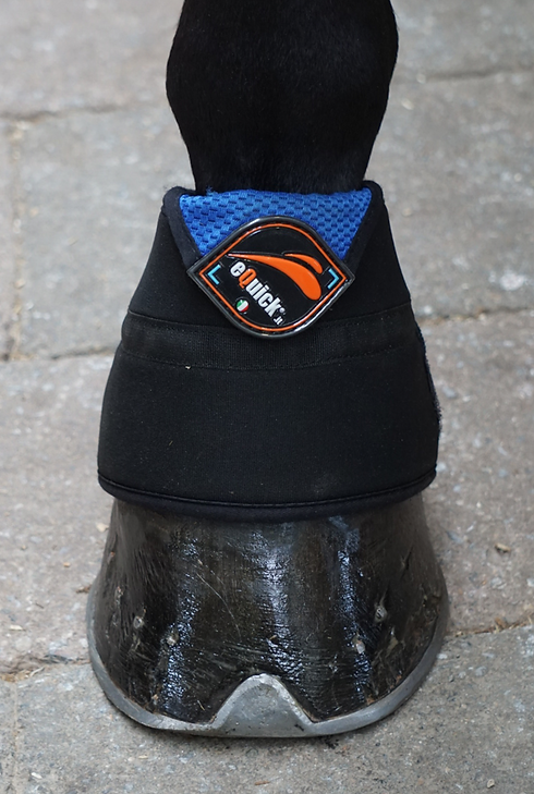 5d22d8-695710a515964f69a72eb8e299314dd7mv2