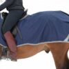 621-Freedom-Riding-Rug-6640-600x399