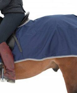 621-Freedom-Riding-Rug-6640-600x399