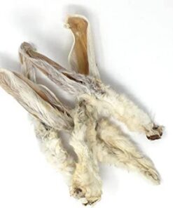 71pnS07v77L-AC-SX425-