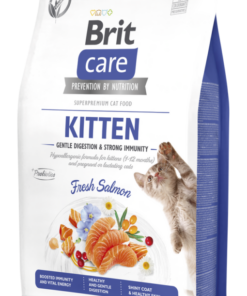 8595602565047-510x865