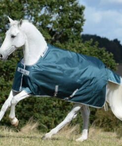 Atlantic-Turnout-Atlantic-Green-440-441-442-P2327-600x536-2