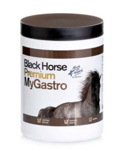 BH-MyGastro-600g-web