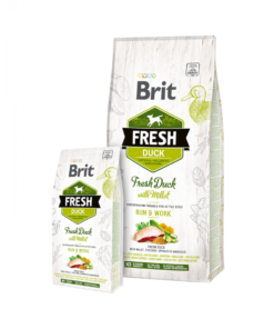 Brit-Fresh-RunWork