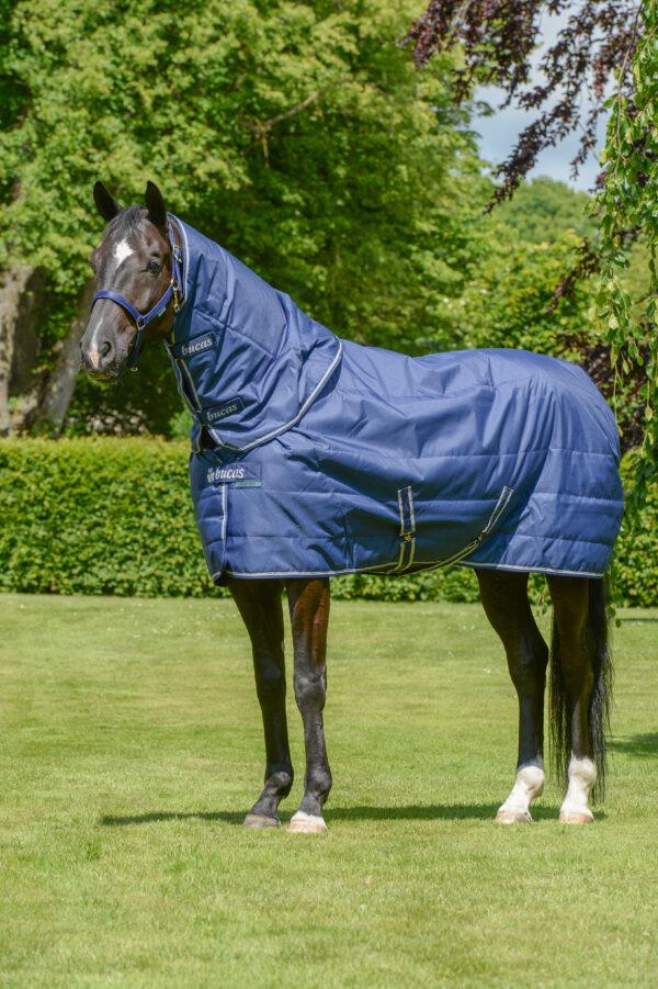 Bucas-Quilt-Neck-450-P6217-600x901