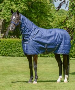 Bucas-Quilt-Neck-450-P6217-600x901-2