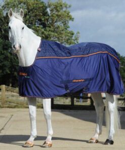 Bucas-Therapy-Cooler-4372-scaled-e1689668409588-600x651