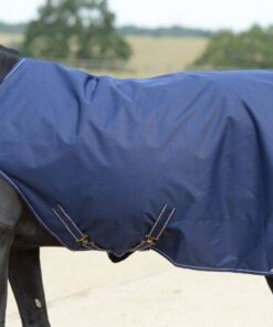 Bucas-Walker-Rug-485-P0821-600x458