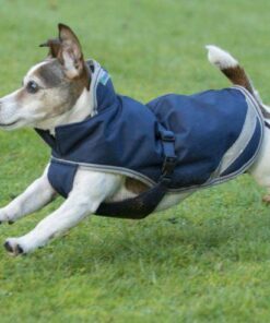 Bucas-Winter-2014-497-9-600x492