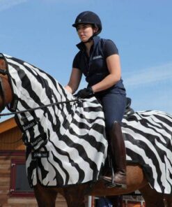 Buzz-Off-Riding-Zebra-1621-scaled-600x520