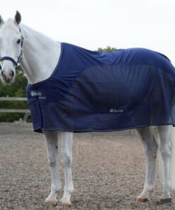 Competition-Cooler-Navy-600x467