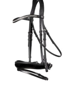 E18002-B123-RotterdamBLCK