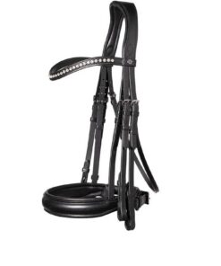 E18301-B123-WellingtonBLC