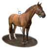 Equine-Legcooler-Base-Plus
