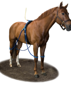 Equine-legcooler-compleet