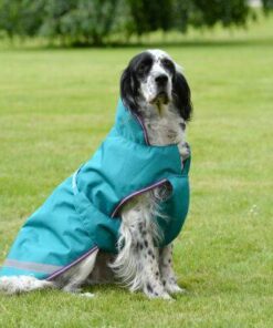 Freedom-Dog-Rug-Green-Violet-281-P9281-600x399