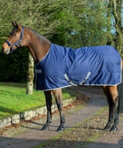 Freedom-Stable-Navy-640-641-P191-600x600-2