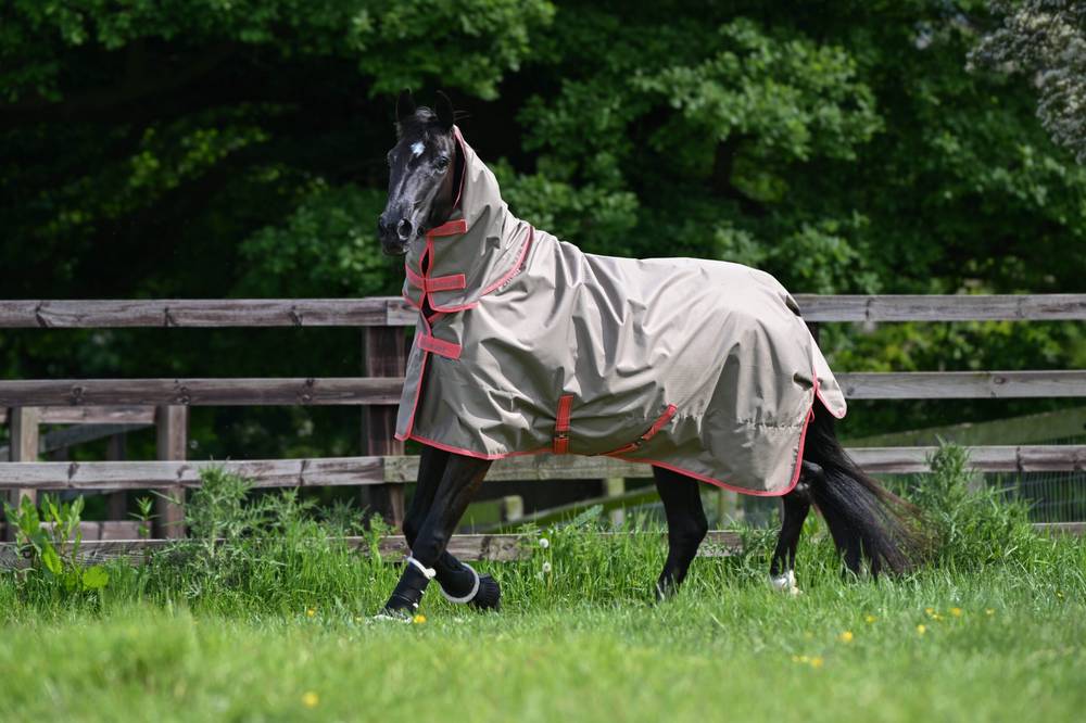 Freedom-Turnout-Full-Neck-Hazelnut-673-P9070-scaled-1