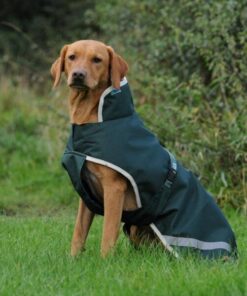 Greenline-Dog-Rug-4259-scaled-e1643027628695-600x600