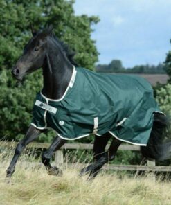 Greenline-Turnout-6745-scaled-e1642761129532-600x600-2