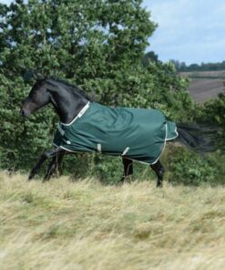 Greenline-Turnout-6755-600x901