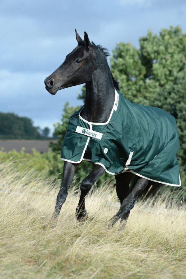 Greenline-Turnout-6797-600x901-2