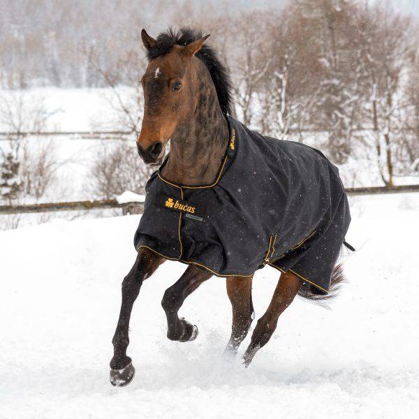 Irish-Turnout-Black-8353-600x600-4