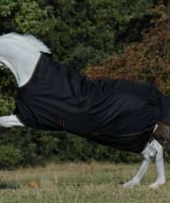 Irish-Turnout-High-Neck-Black-655-653-0833-600x430-2