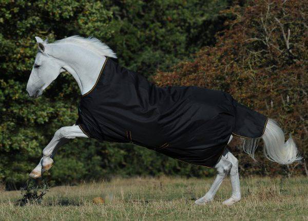 Irish-Turnout-High-Neck-Black-655-653-0833-600x430-2