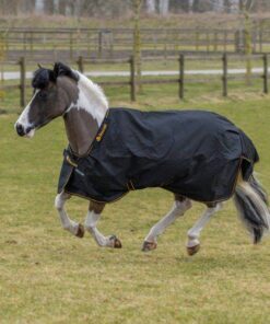 Irish-Turnout-Pony-Black-654-656-P1515-600x600-4