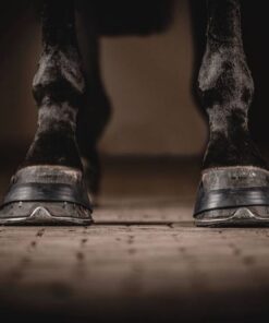 IrisvanMeijlFotografie-4932HR