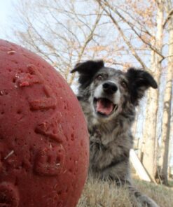 JOLL044A-JOLL045A-JOLL046A-JOLL047A-16