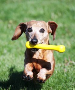 JOLL080AC-JOLL080AD-JOLL080AG-JOLL080AH-2