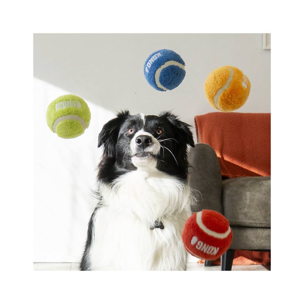 KONGABSS2BE-4-download