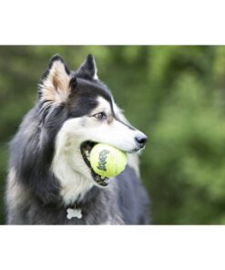 KONGAST2BE-KONGAST1BE-KONGASTXBE-KONGAST5E-KONGAST3E-KONGAST2E-KONGAST1E-1-download