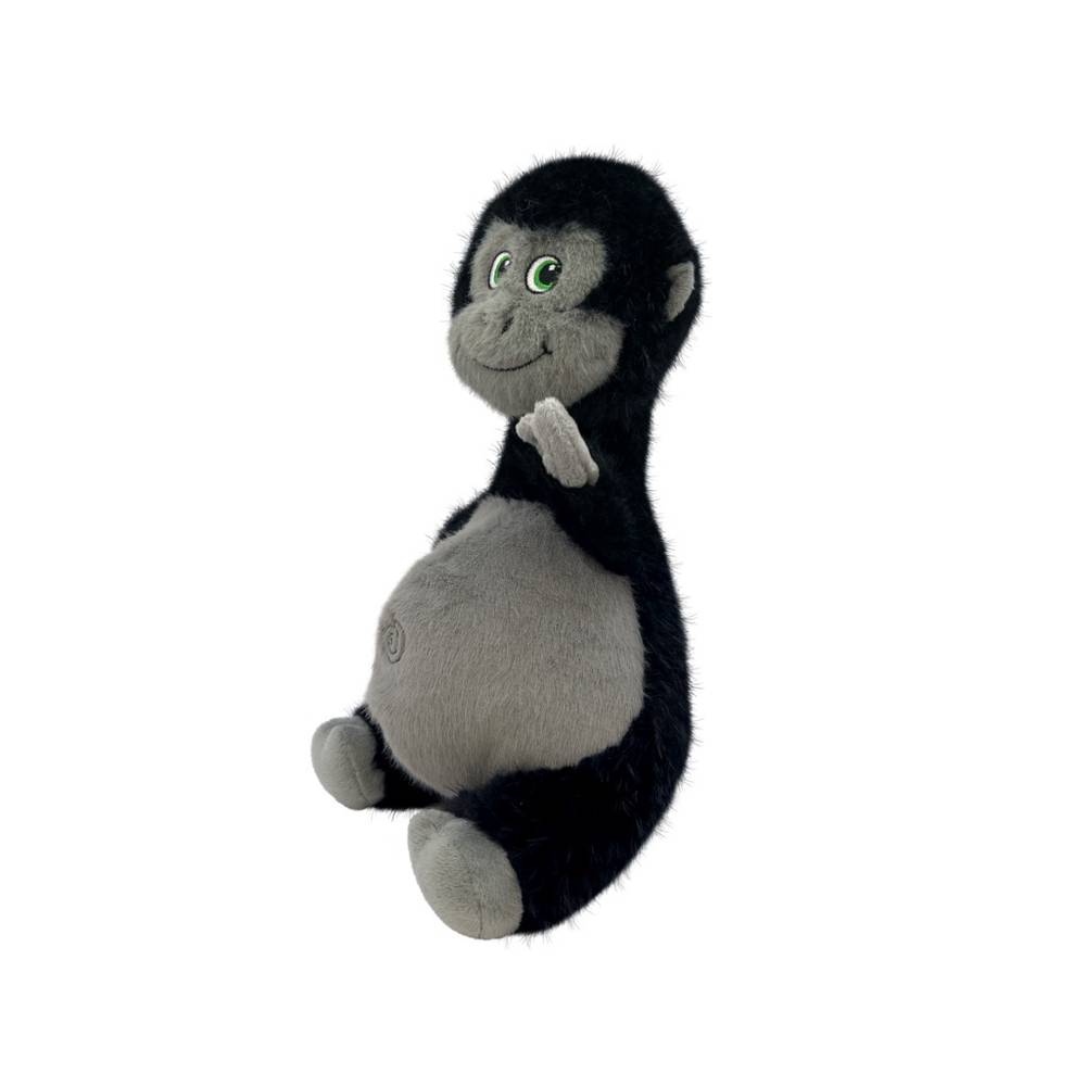 KONGNKY12E-2-download