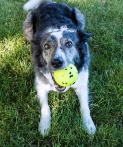 KONGRFL14E-3-download