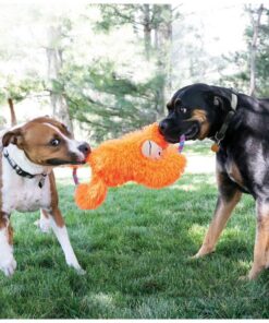 KONGRTGX1E-2-download