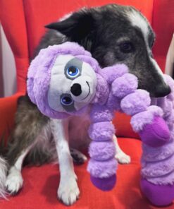 KONGSHCX3E-3-download